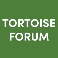 www.tortoiseforum.org