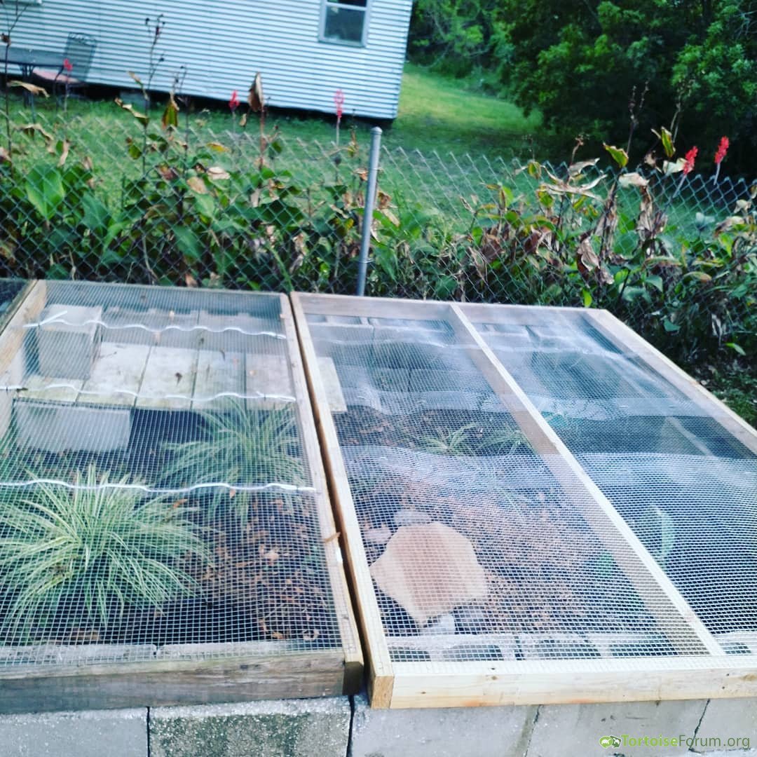 Expanded enclosure
