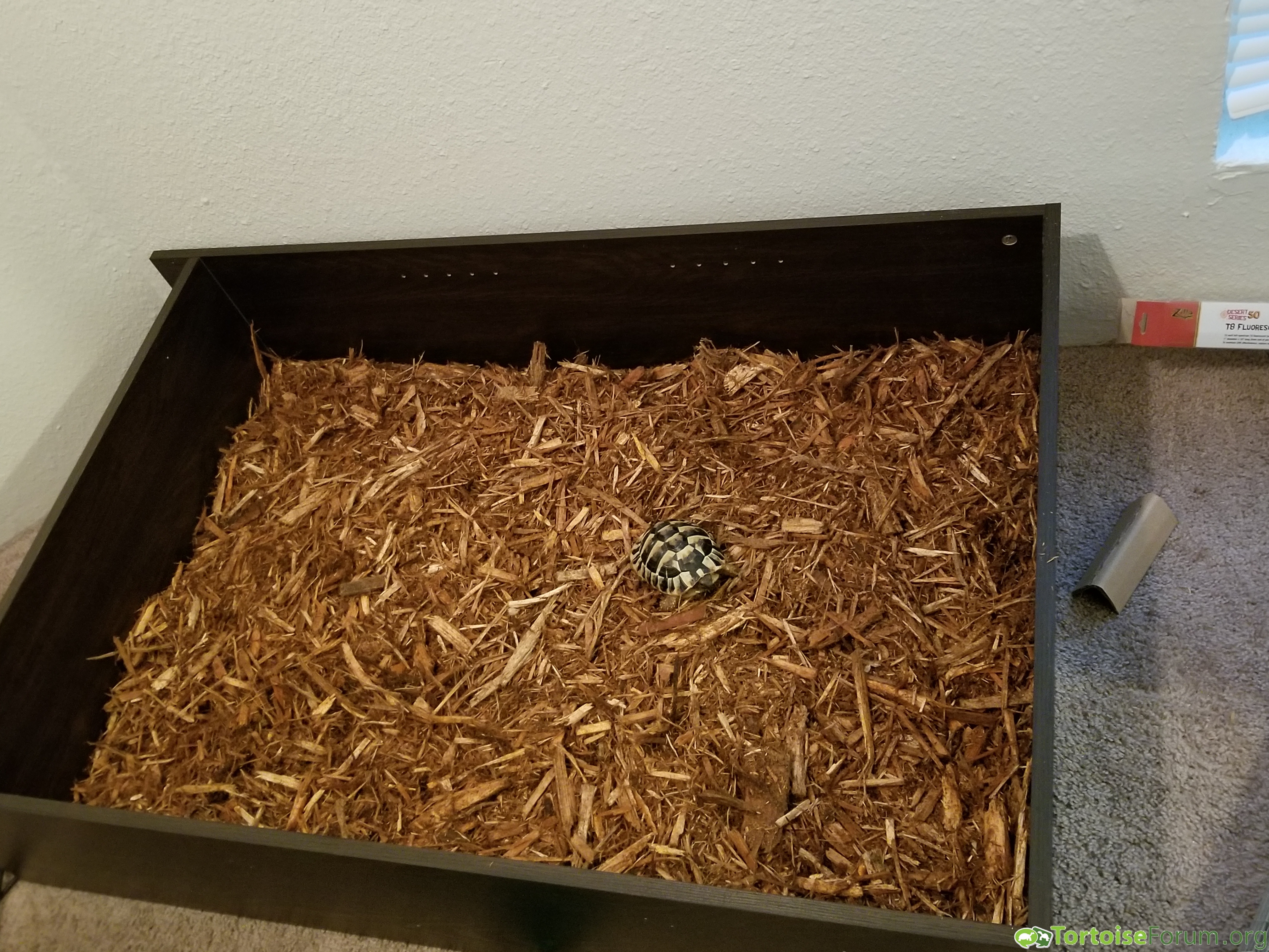 tortoise mulch