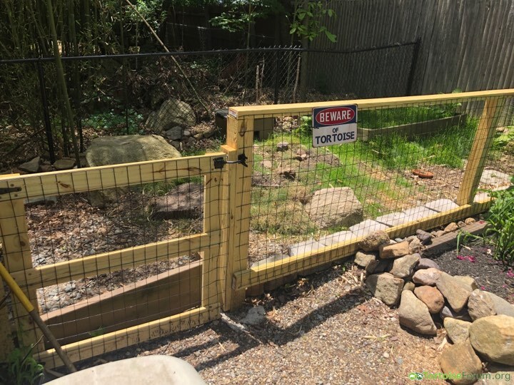 My enclosures fence